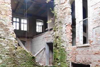  (© Milan Caha  10/2019)