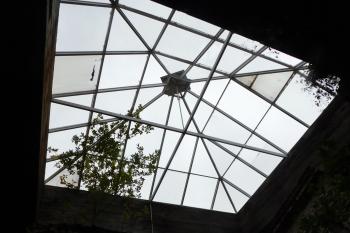  (© Milan Caha  10/2019)