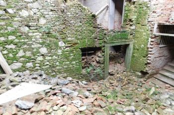  (© Milan Caha  10/2019)