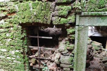  (© Milan Caha  10/2019)