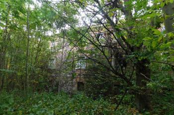  (© Milan Caha  10/2019)