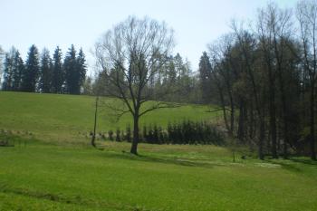 Vrch na němž stála tvrz pánů ze Žďáru (© David Koral, 03/2010)
