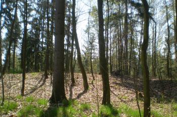 Náznak obraného hliněného valu (© David Koral, 03/2010)