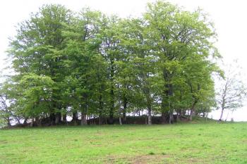 Celkový pohled (© Martin Řehák 08/2006)