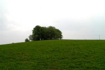Celkový pohled na kopec (© Martin Řehák 08/2006)