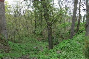 Relikty příkopu při severní hraně hradu ( © Petr Turyna 05/2006)