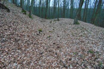 Sv. příkop s valem /od východu/ (© Dušan Dohňanský 02/2021)