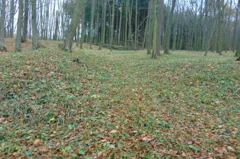 Vstupní brána do Předhradí mezi podélným valem /vpravo/ a příčným /vlevo/ (© Dušan Dohňanský  11/2021)