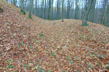 Sv. příkop s valem (© Dušan Dohňanský  11/2021)
