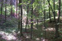Šarovy