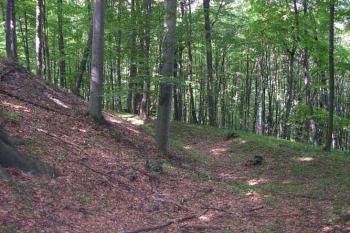 Pozůstatky po obvodových valech tvrze (© George Párátko 08/2006)