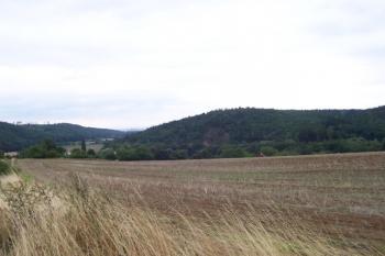 Bělecký mlýn - hradiště (© Ivo Rozehnal 08/2006)