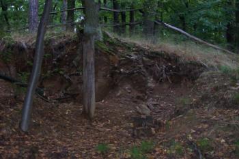 Bělecký mlýn - hradiště (© Ivo Rozehnal 08/2006)