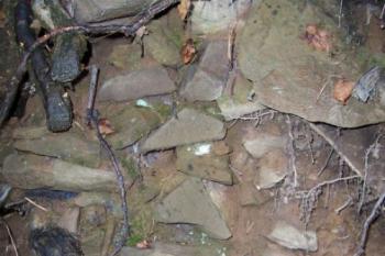 Bělecký mlýn - hradiště (© Ivo Rozehnal 08/2006)