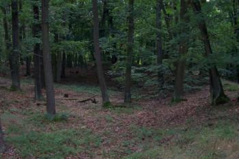 Bělecký mlýn - hradiště (© Ivo Rozehnal 08/2006)