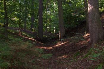 Bělecký mlýn - hradiště (© Ivo Rozehnal 08/2006)