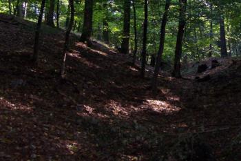 Bělecký mlýn - hradiště (© Ivo Rozehnal 08/2006)