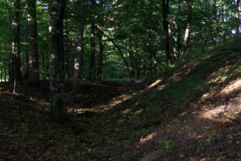 Bělecký mlýn - hradiště (© Ivo Rozehnal 08/2006)