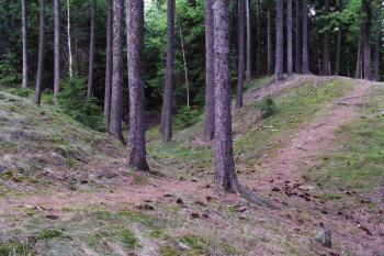 Příkop předhradí ( © Filip Matoušek 08/2003)