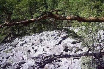 Čertova stěna (© Dita Kacerovská 08/2006)