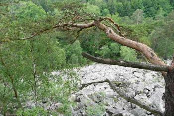 Čertova stěna (© Pavel Kozel, 06/2008)