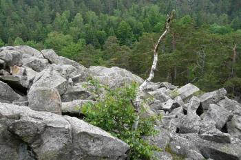 Čertova stěna (© Pavel Kozel, 06/2008)