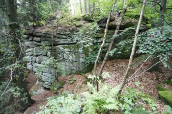 Hradní skála od jihozápadu, z místa kóty 642,8 m ( © Filip Matoušek 08/2006)