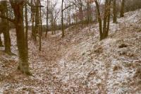Frumštejn