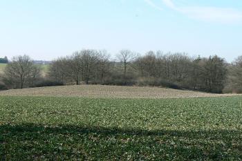 Za polem stával hrad (© Prudký Martin, 03/2007)