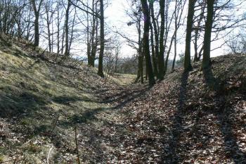Příkop s valem (© Prudký Martin, 03/2007)
