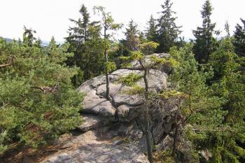 Vrcholová část jedněch ze skalisek (© Jan P. Štěpánek 08/2006)