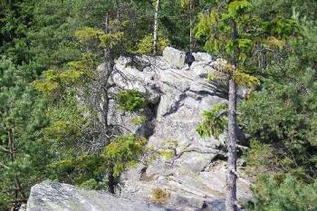 Vrcholová část jedněch ze skalisek (© Jan P. Štěpánek 08/2006)