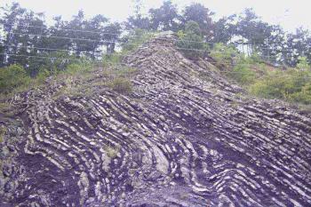 Budňanská skála (© Dita Kacerovská 08/2006)