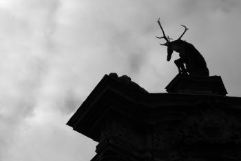 detail (© Václav Kapr, 09/2011)