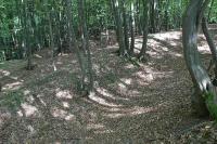 Červenka