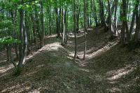 Červenka