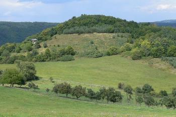 Vrch Červenka od jihu - pohled přes rozsáhlé hradiště Hrazany ( © Petr Turyna 08/2006)