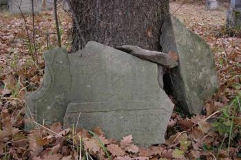 Židovský hřbitov Brumov - fragmenty náhrobních kamenů (© George Párátko 2004)