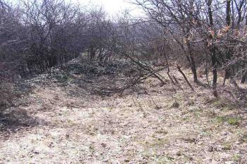 Pohled od severozápadu do snížené jihovýchodní části jádra (© Jan P. Štěpánek 04/2006)