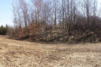 Panorama pahorku tvrze od západu s patrným příkopem  na severu (vlevo) (© Jan P. Štěpánek 04/2006)