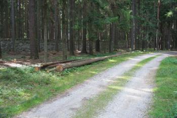 Pohled z lesní cesty (© Jiří Cukr 08/2006)