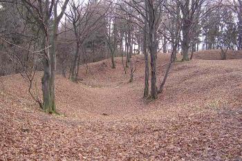 Sobín (© Jan Laurýn, 2006)