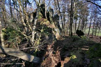 Příkop a terasa ( © Luděk Pitter 02/2007)