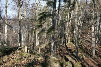 Hřbet ( © Luděk Pitter 02/2007)