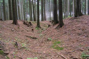 Průhled jihozápadní částí příkopu, vpravo jádro tvrziště ( © Filip Matoušek 08/2006)