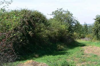 Severovýchodní ohyb valů ( © Petr Turyna 09/2006)