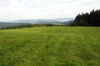 Pohled od severozápadu na plochu, kde se rozkládaly zaniklé šance. (© Jan P. Štěpánek 09/2005)