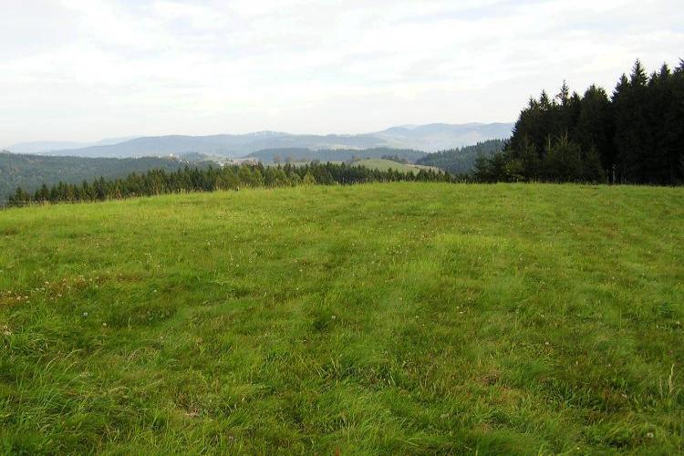 šance Bařiny