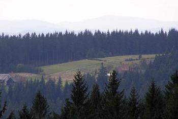 Pohled z místa zaniklách šancí na Komorovském grúni na plochu, kde stávaly zaniklé šance Bařiny ( © Jan P. Štěpánek 10/2007)