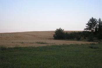 Pohled na možné místo hlavní pevnosti od silnice Vyškov-Kroměříž ( © Ondřej Štěpánek 09/2006)
